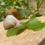 Profile picture of ‌گیل راب🐌‌