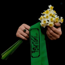 Profile picture of ‌f.sh‌