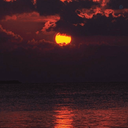 Profile picture of ‌محمدرضا‌