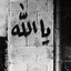 Profile picture of ‌م.انقلابی"‌