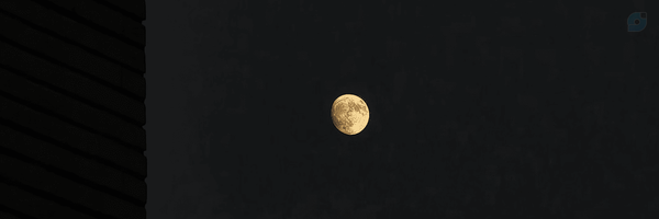 ‌Hoda Sadat / محدود🏴‌'s header picture