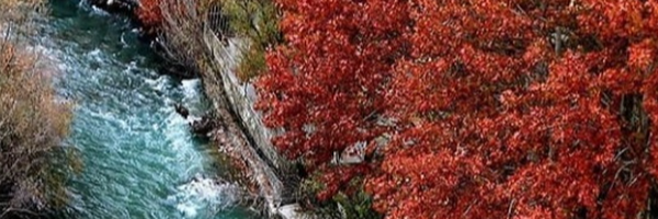 ‌سیدمحمد الحسینی‌'s header picture