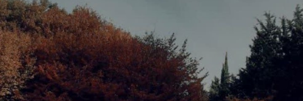 ‌عرفان فتوحی‌'s header picture