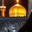 Profile picture of ‌دلارام‌