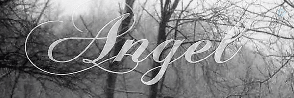 ‌𝒮𝗎𝗇𝗅𝗂𝗀𝗁𝗍‌'s header picture