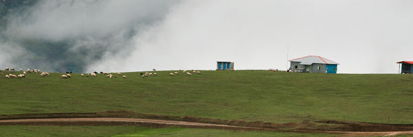 ‌هاشم رضایی‌'s header picture