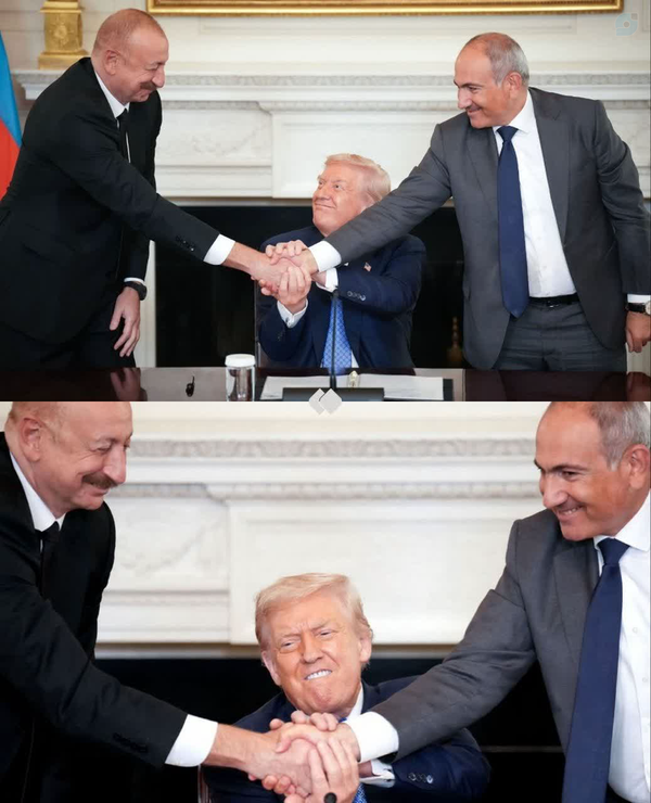 سگ زرد  با  دو شغال