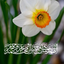Profile picture of ‌حسن رحیمی‌