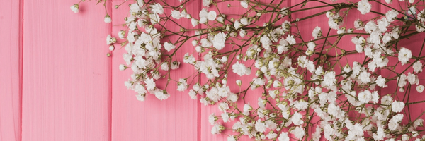 ‌Bita‌'s header picture