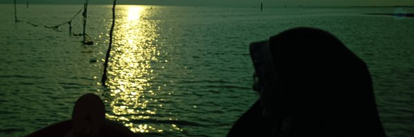‌طاهره قادری‌'s header picture