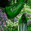 Profile picture of ‌سمیرا S‌