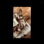 Profile picture of ‌𝐦𝐦𝐝‌