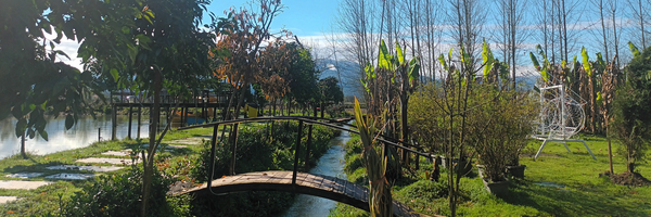 ‌Gh Alizadeh‌'s header picture