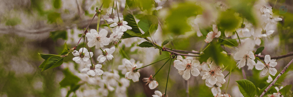 ‌Mohadese Frhd‌'s header picture
