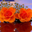 Profile picture of ‌دریا نعمت زاده‌