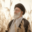 Profile picture of ‌Ali Amiri‌