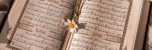 ‌حکیمی‌'s header picture