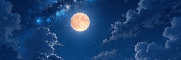‌زینب‌'s header picture
