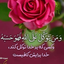 Profile picture of ‌پریسا ایمانی‌