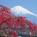 Profile picture of ‌سیدجواد میرزازاده‌