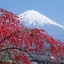 Profile picture of ‌سیدجواد میرزازاده‌