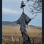 Profile picture of ‌مترسـک🦉‌