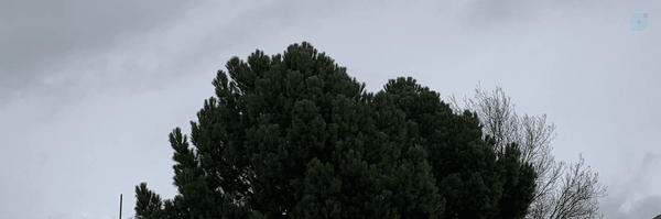 ‌مُطلَق و مُقَید‌'s header picture