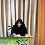 Profile picture of ‌Rahil Zanganeh‌
