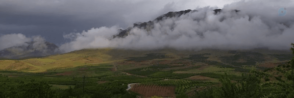 ‌helma‌'s header picture