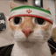 Profile picture of ‌🚩کربلایی میم‌