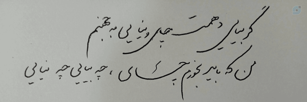 ‌زینب خانومشون.‌'s header picture