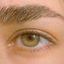 Profile picture of ‌سانازیوم‌