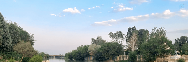 ‌Mobina☘️‌'s header picture