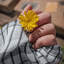 Profile picture of ‌Maryam‌
