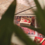Profile picture of ‌زوج رضوی؛ سبک زندگی رضوی ☫‌