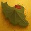 Profile picture of ‌فدائی امامت و ولایت(🇮🇷فاوو) تابع امر ولی‌