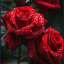 Profile picture of ‌فاطمه جعفری‌
