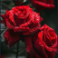 Profile picture of ‌فاطمه جعفری‌