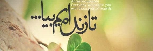 ‌حامد نیکونیا‌'s header picture