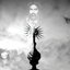 Profile picture of ‌ܭَܠܢِ̣ حِیܥ‌َܝ‌ِ ࡅ߳ܢ̣ܝ‌یܝ̇‌ܨ‌