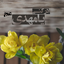 Profile picture of ‌lran^دُخْــتـ‌