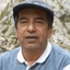 Profile picture of ‌مجید‌