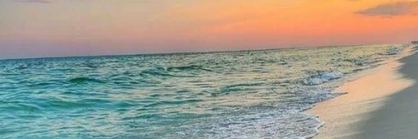 ‌تسنیم رضوان‌'s header picture