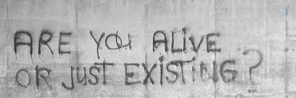 ‌Fatima‌'s header picture