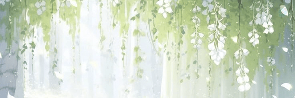 ‌میس راد‌'s header picture