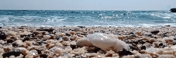 ‌عسل درستکار‌'s header picture
