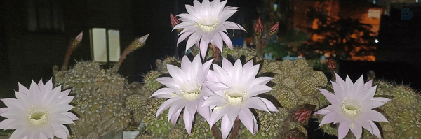 ‌مهدی زارعی‌'s header picture