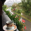 Profile picture of ‌طوبی🌻زاهدی☕️‌