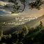 Profile picture of ‌Mahya B‌