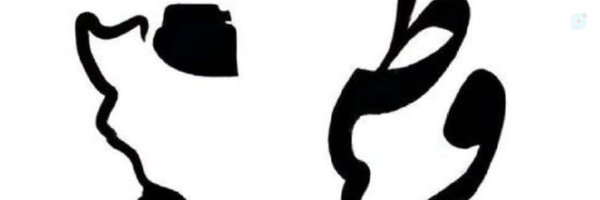 ‌زهرا دهقان‌'s header picture